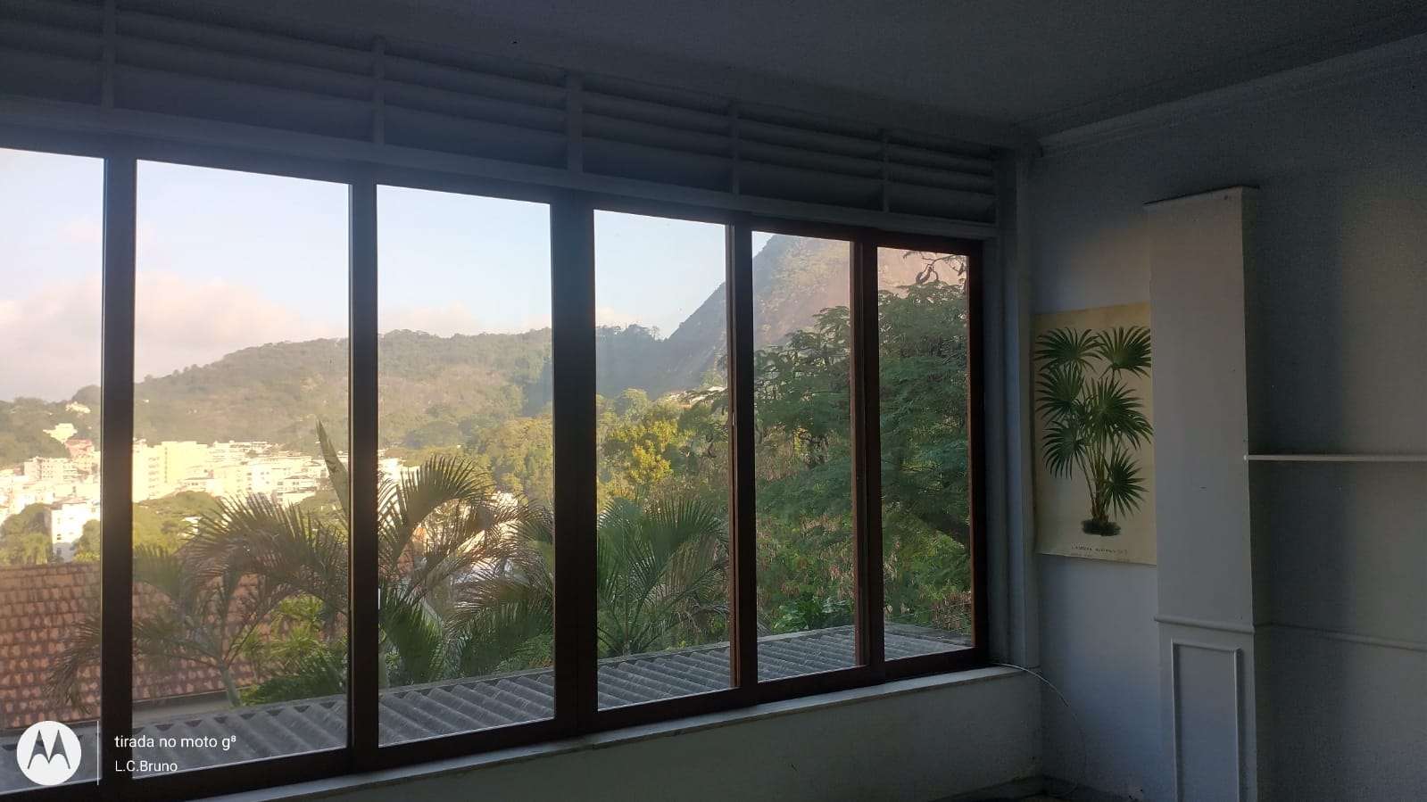 WhatsApp Image 2024-08-01 at 17.20.28.jpeg